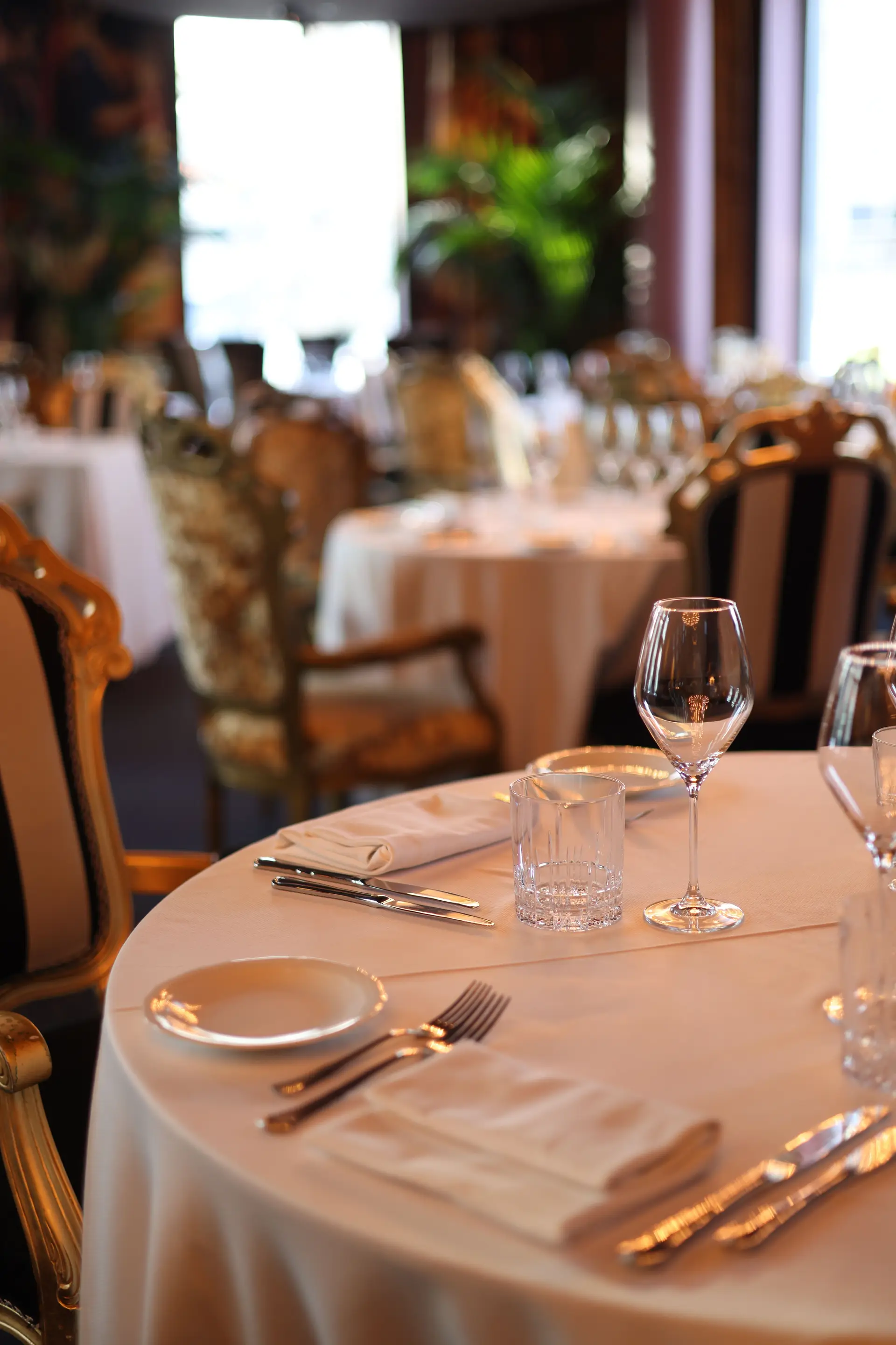 Elegant dining room at Zelcarine Dining