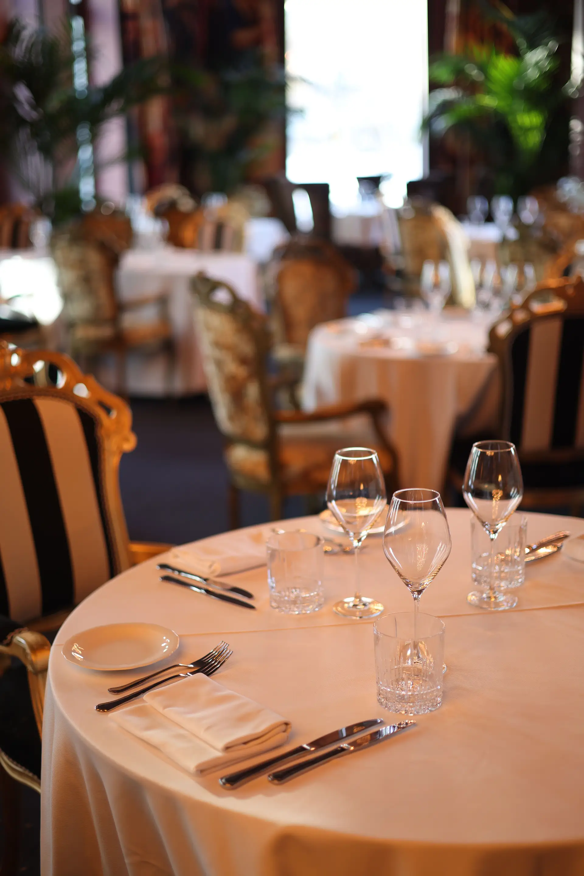 Stylish restaurant surroundings